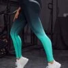 Ombre Tummy Control Sports Leggings