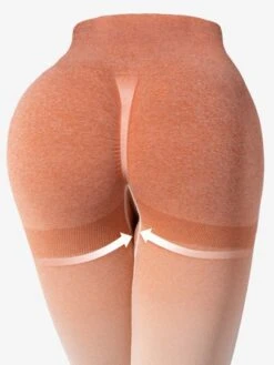 Gradient Seamless Women's Sports Yoga Pants -Sculptive Wear 1689211236aa550df15487a2e57338ae3e4e86c9f5 thumbnail 405x552