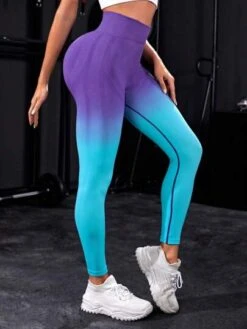 Ombre Tummy Control Sports Leggings -Sculptive Wear 1691399573ecc83455df12bb36acecd2c39c1ee8fc thumbnail 405x552